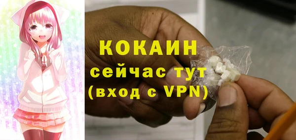 гашик Аркадак