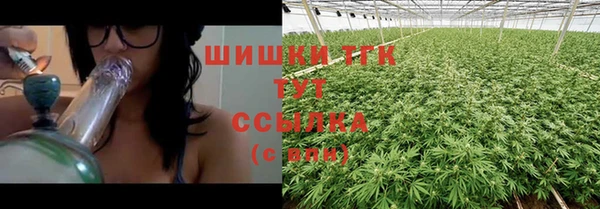 гидра Армянск