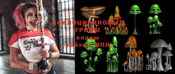 гашик Аркадак