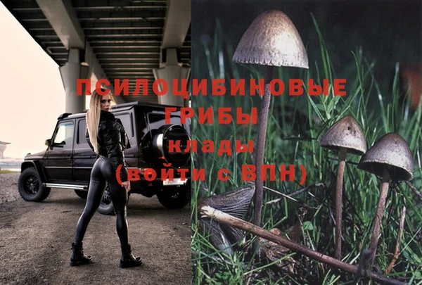 гашик Аркадак